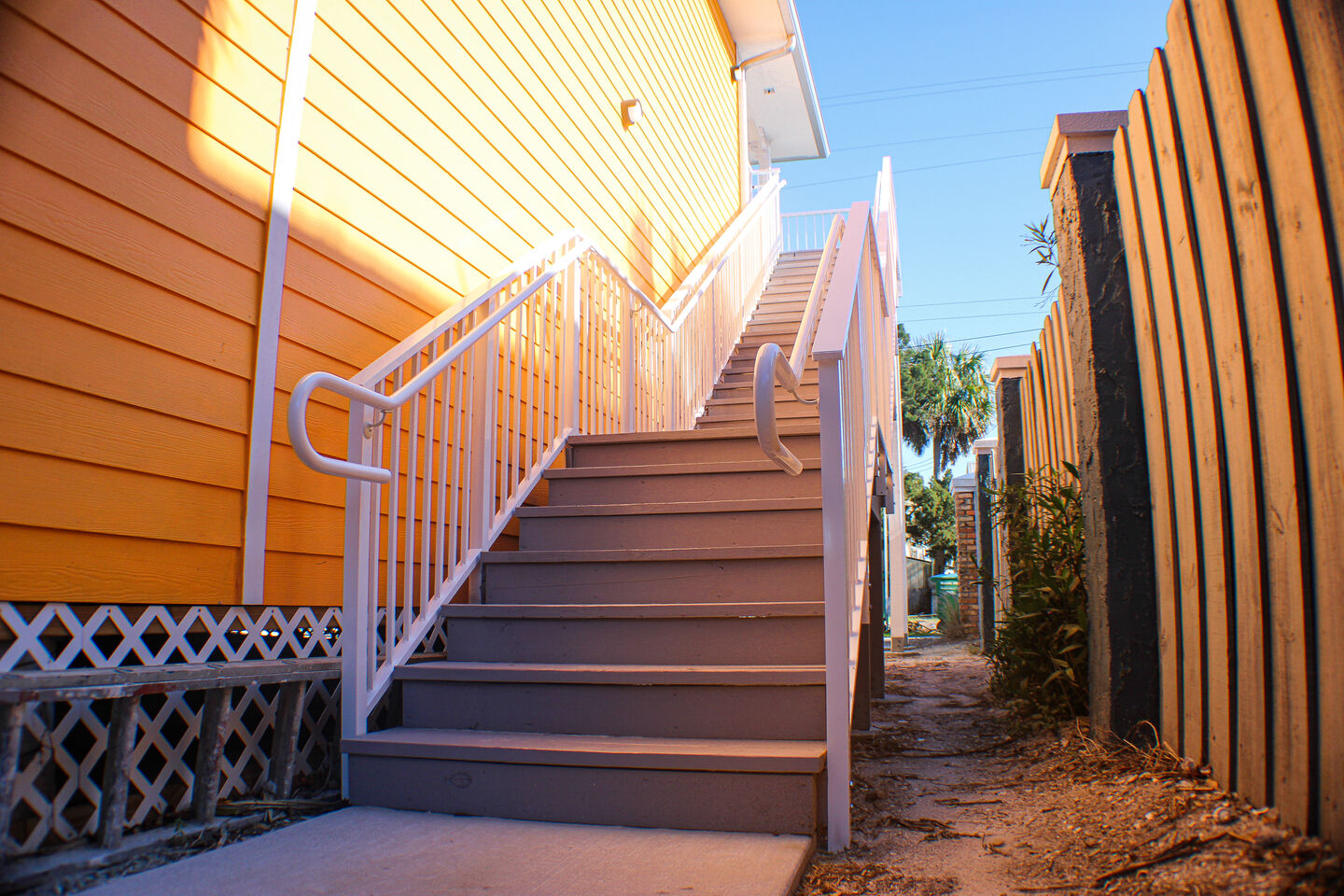 Sea Dog Bakery - Image 8